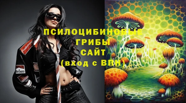 крисы Аркадак