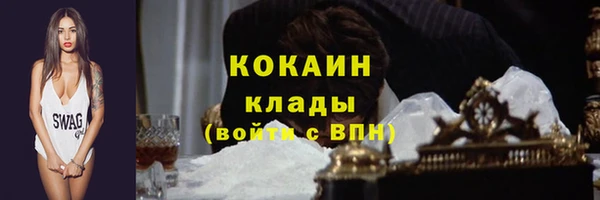 трава Арсеньев