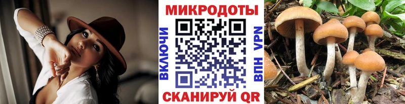 Псилоцибиновые грибы мухоморы  даркнет сайт  Малая Вишера 